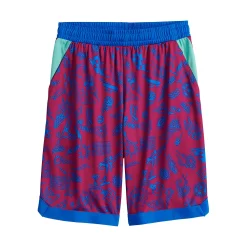 Boys 8-20 Tek Gear® Dry Tek Printed Shorts in Regular & Husky -Bonnie Jean Shop 5214960 Berry Doodle
